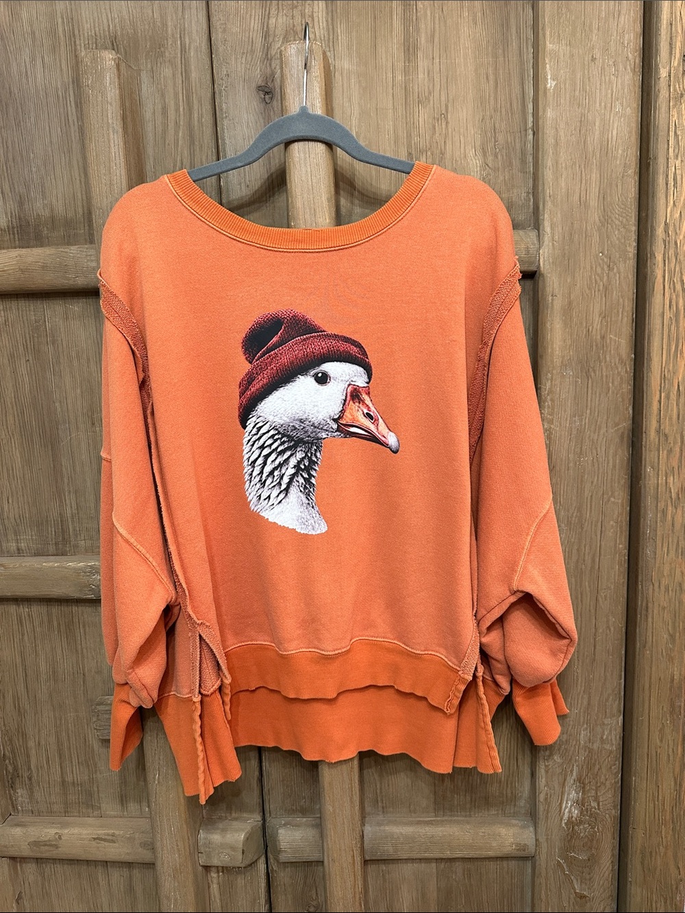 Free people Goose Graphic Oversized sweatshirt we the free Camden custom